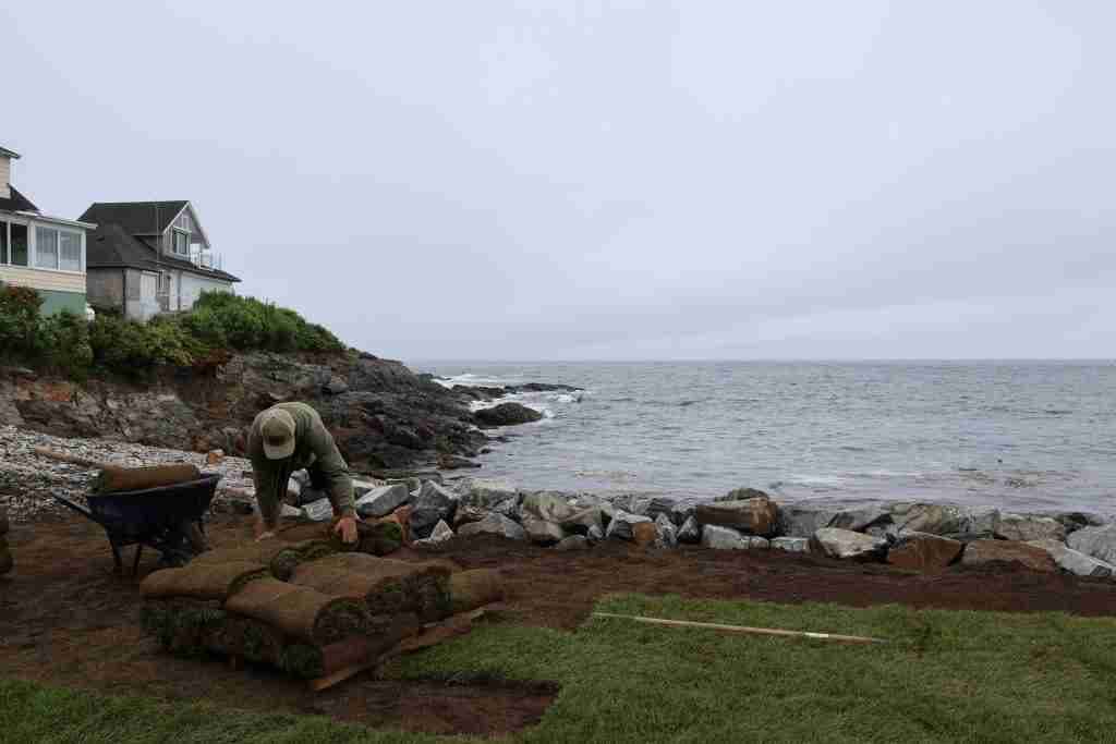 Landscape Design for Coastal and Exposed Properties in Southern Maine