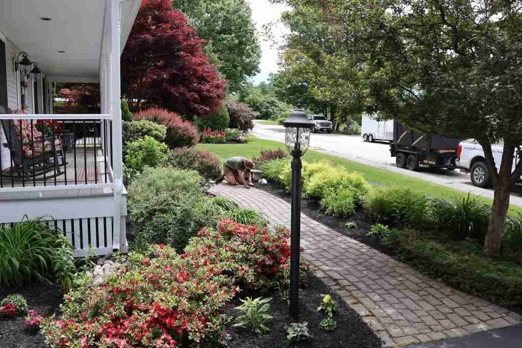 Landscape Design vs Landscape Maintenance: What’s the Difference in Maine?