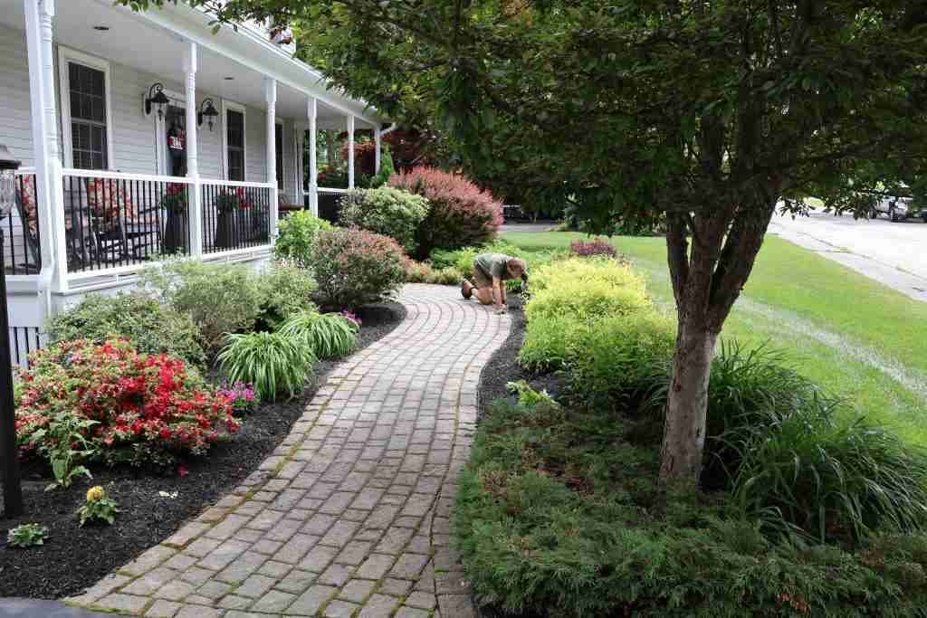 How Landscape Design Affects Long-Term Maintenance Costs in Southern Maine