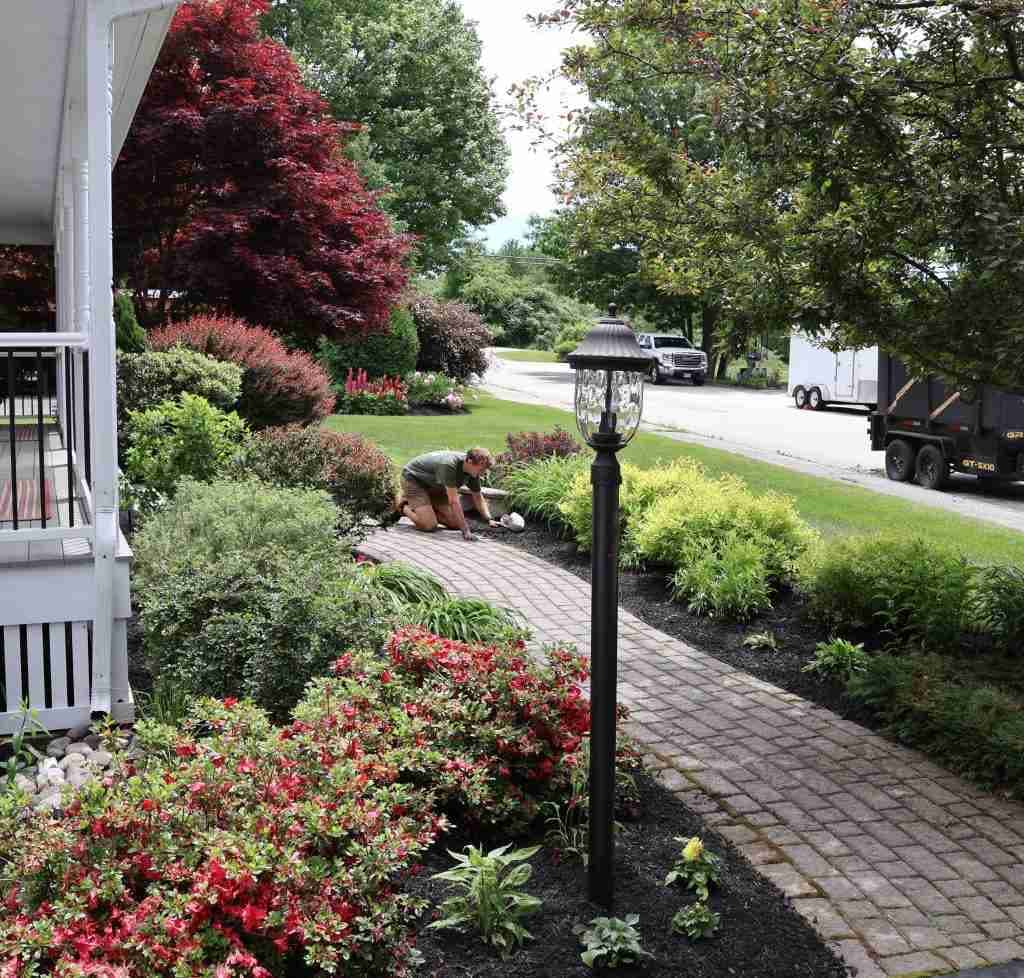 Spring Season Is Here: What to Expect for Your Landscape in Southern Maine
