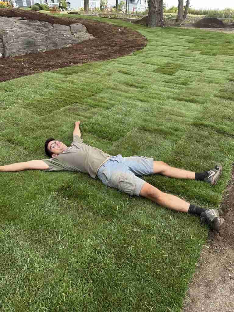 Summer Season Is Here: What to Expect for Lawn and Landscape Care in Southern Maine