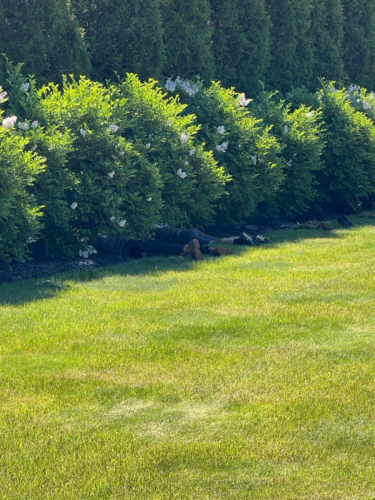 Fall lawn cleanup and dethatching in Portland, Maine