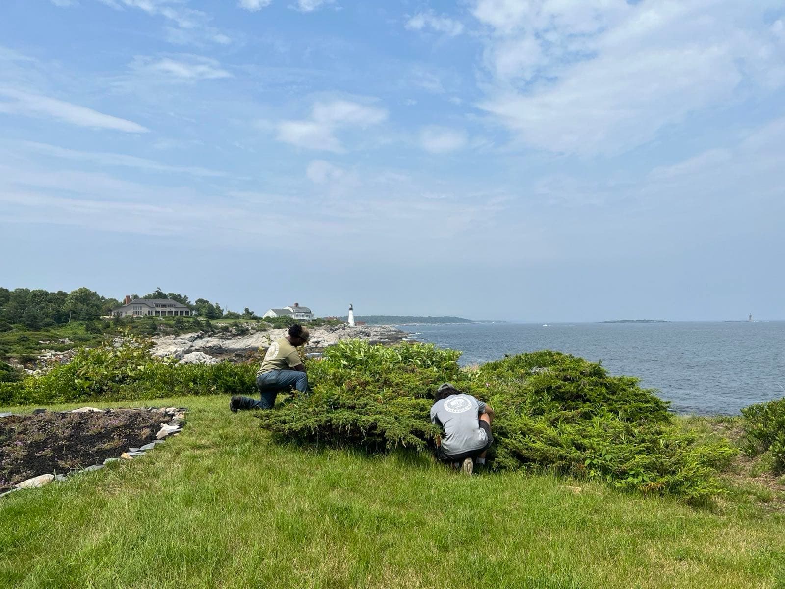 Landscape maintenance