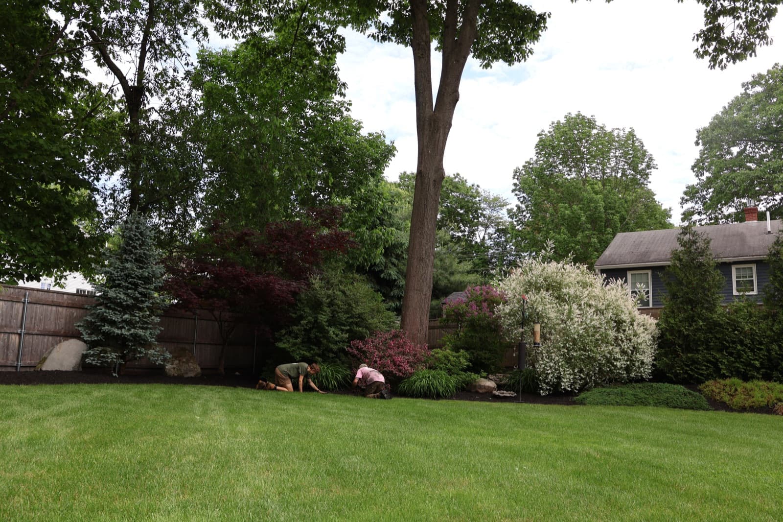 Landscape Design