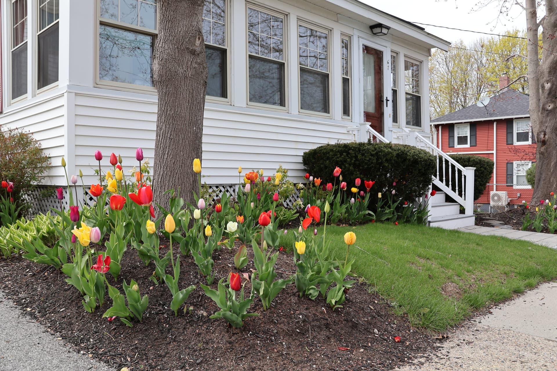 Garden Guys landscape design project 3 in Portland, Maine