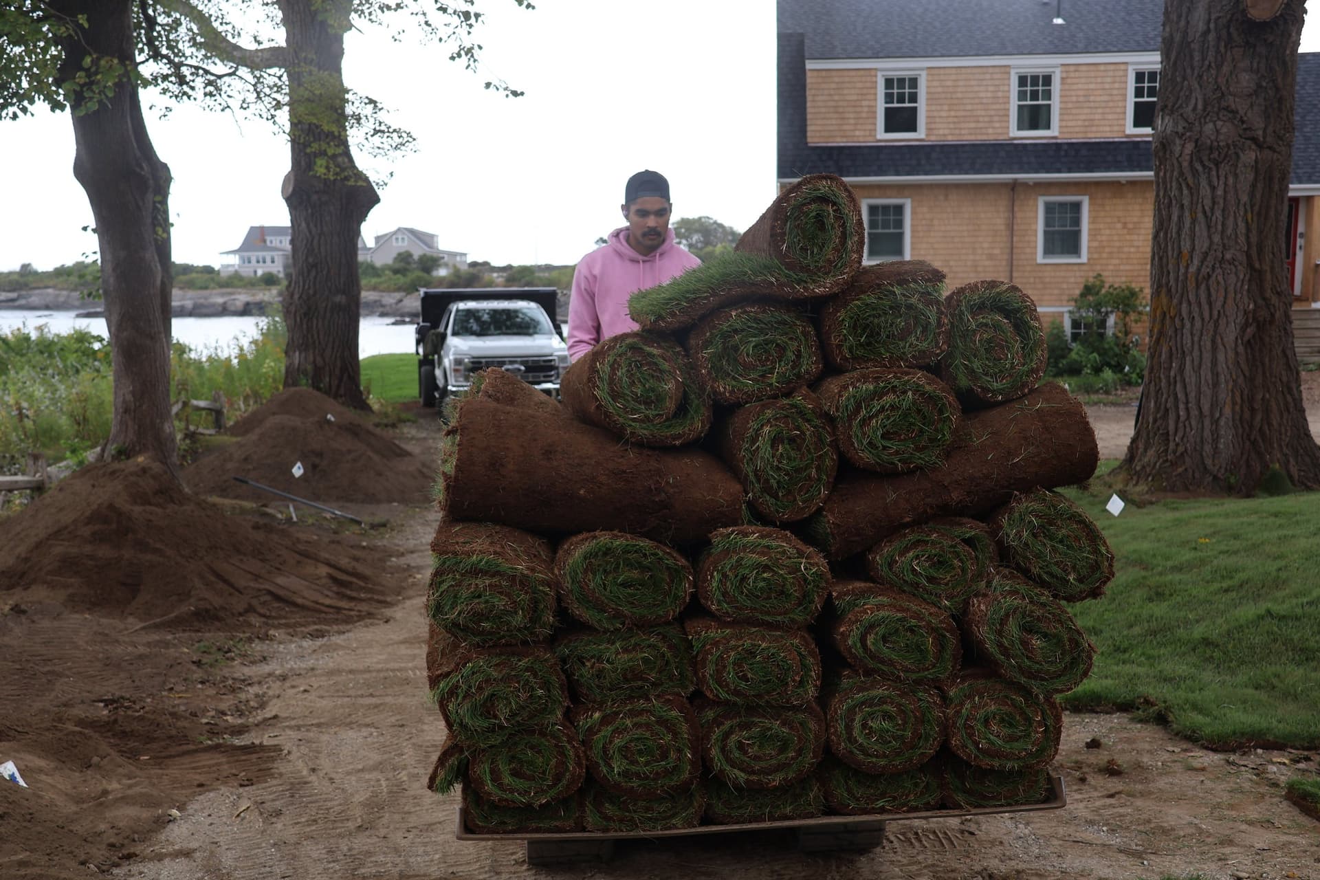 Plant and shrub installation in Portland, Maine