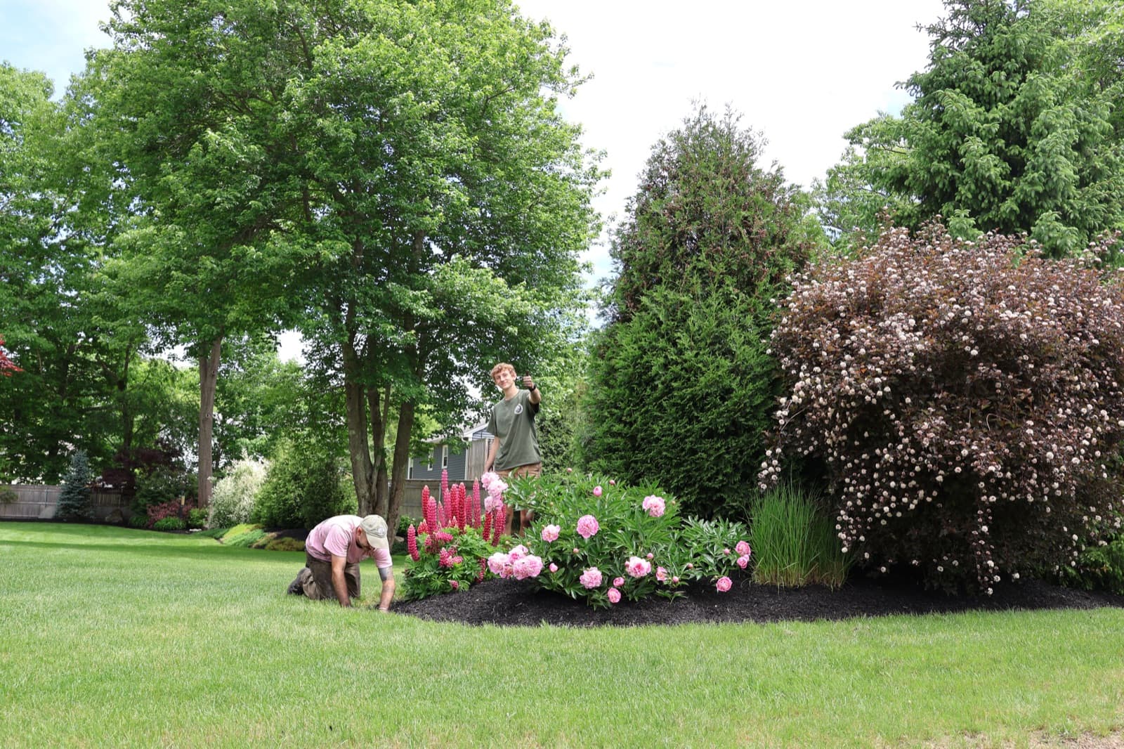 Landscape Design