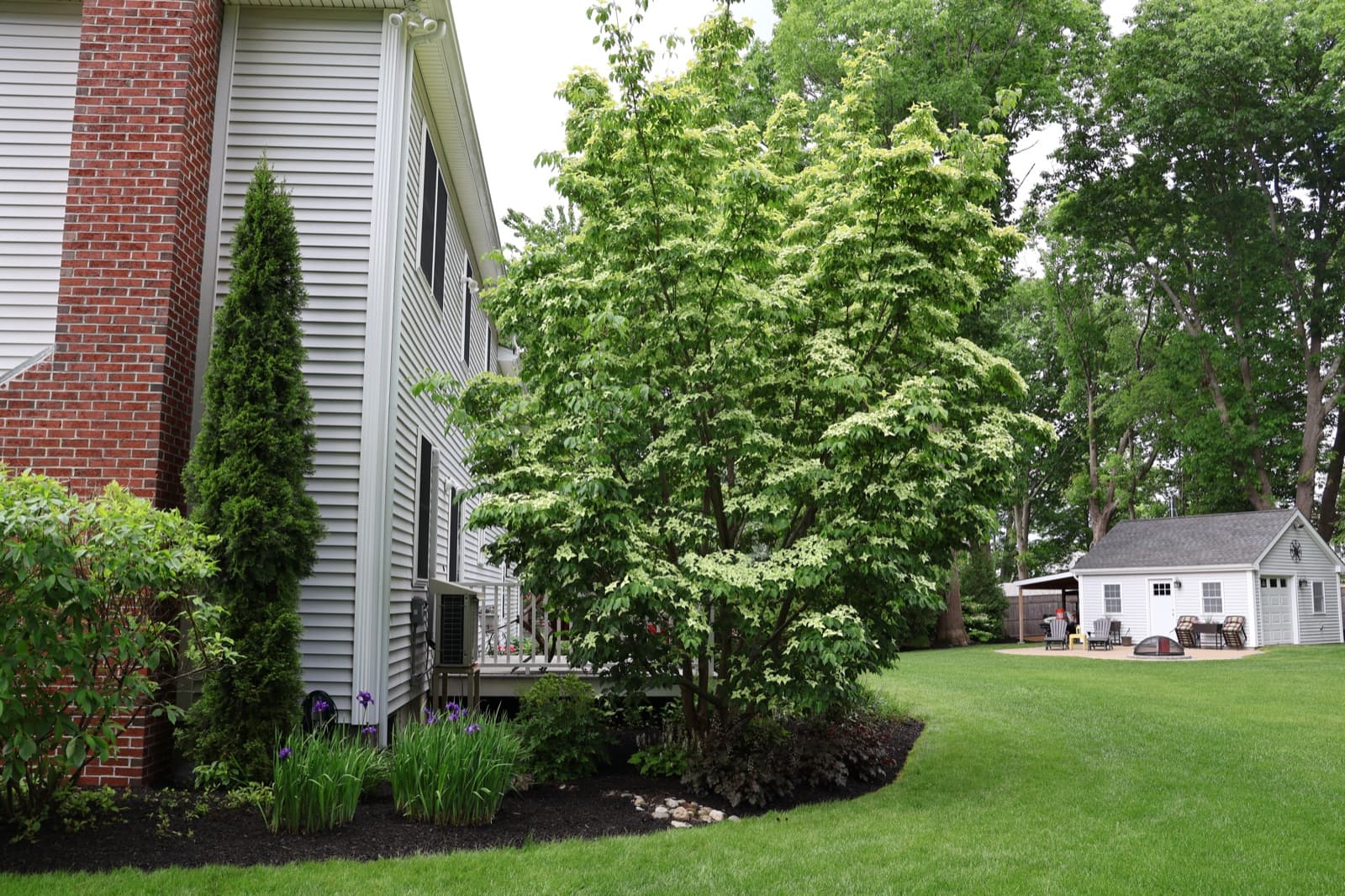 Landscape Maintenance