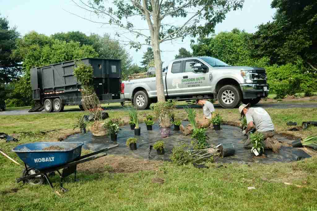 Commercial landscape installation