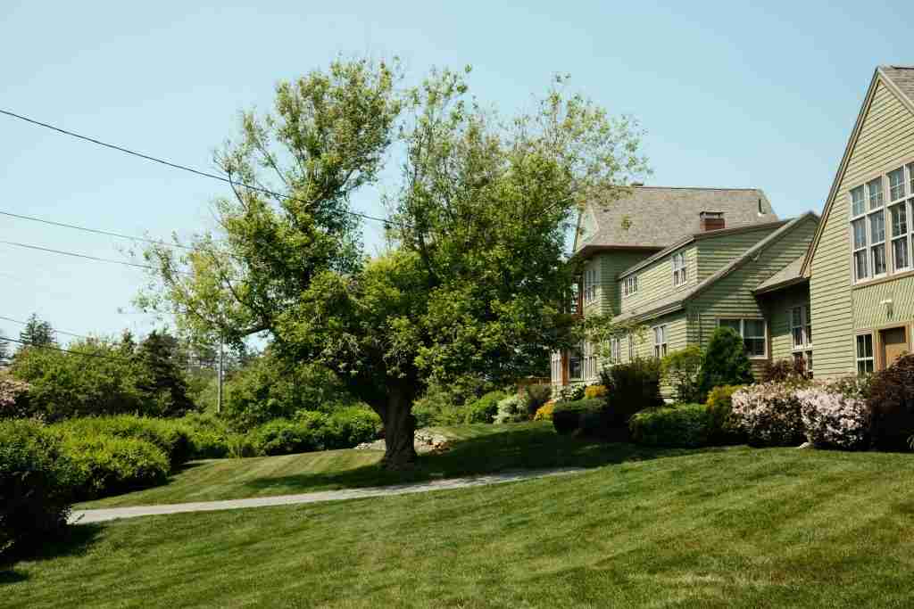 perennial garden before winter