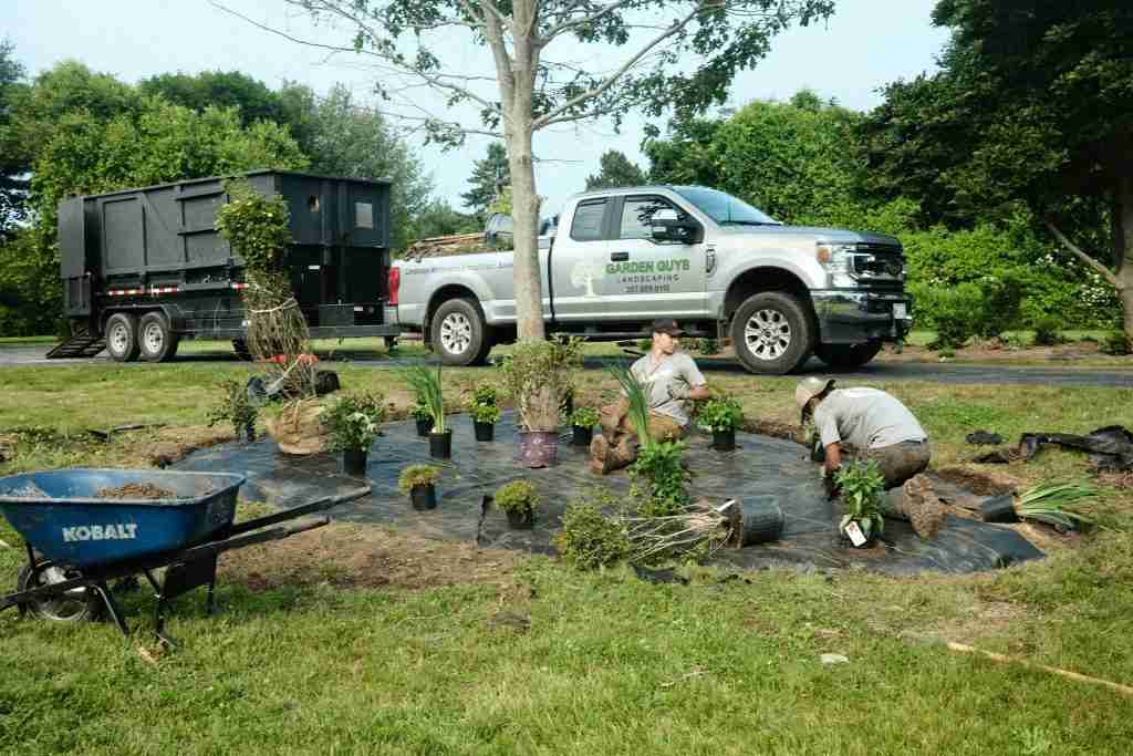 salt tolerant landscape plants Maine