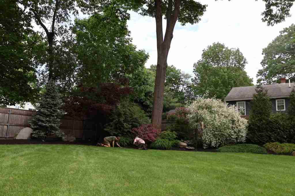 fall landscape cleanup Southern Maine