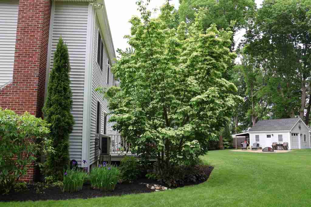 professional landscape design Maine