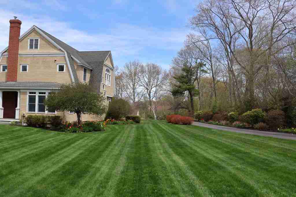 Landscape design turned into a finished landscape installation