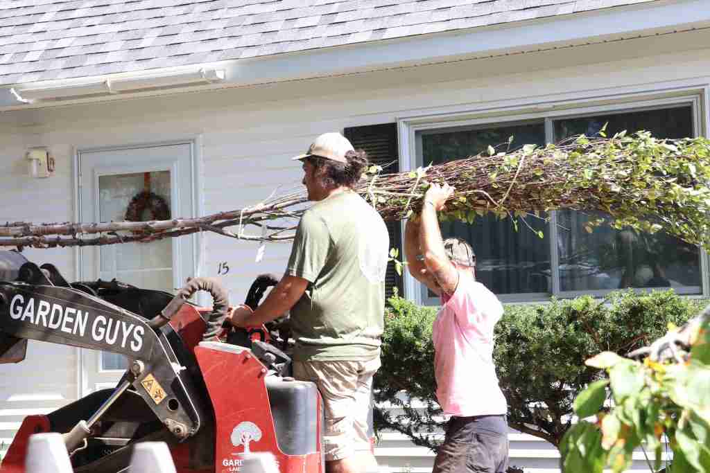 phased landscape installation Maine