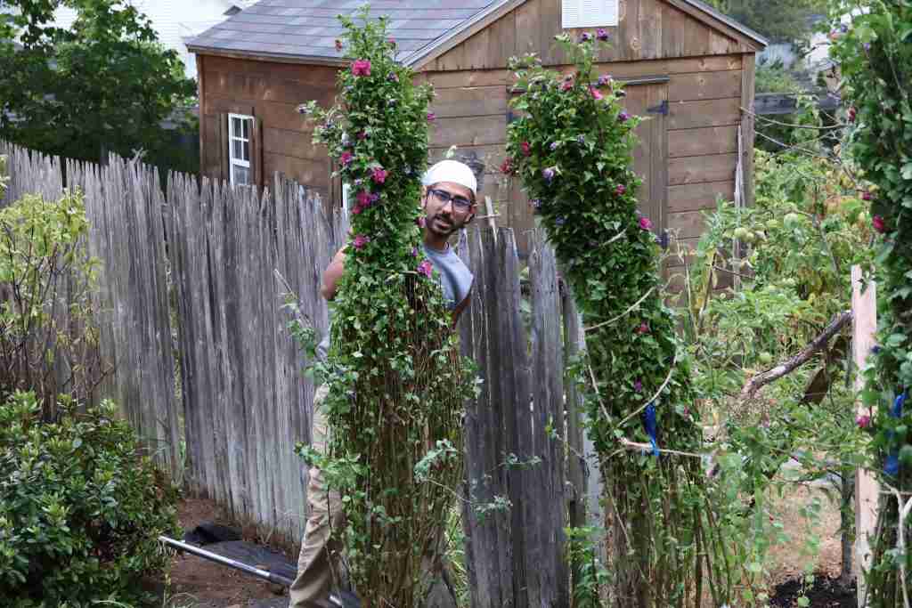 seaside landscape design Maine