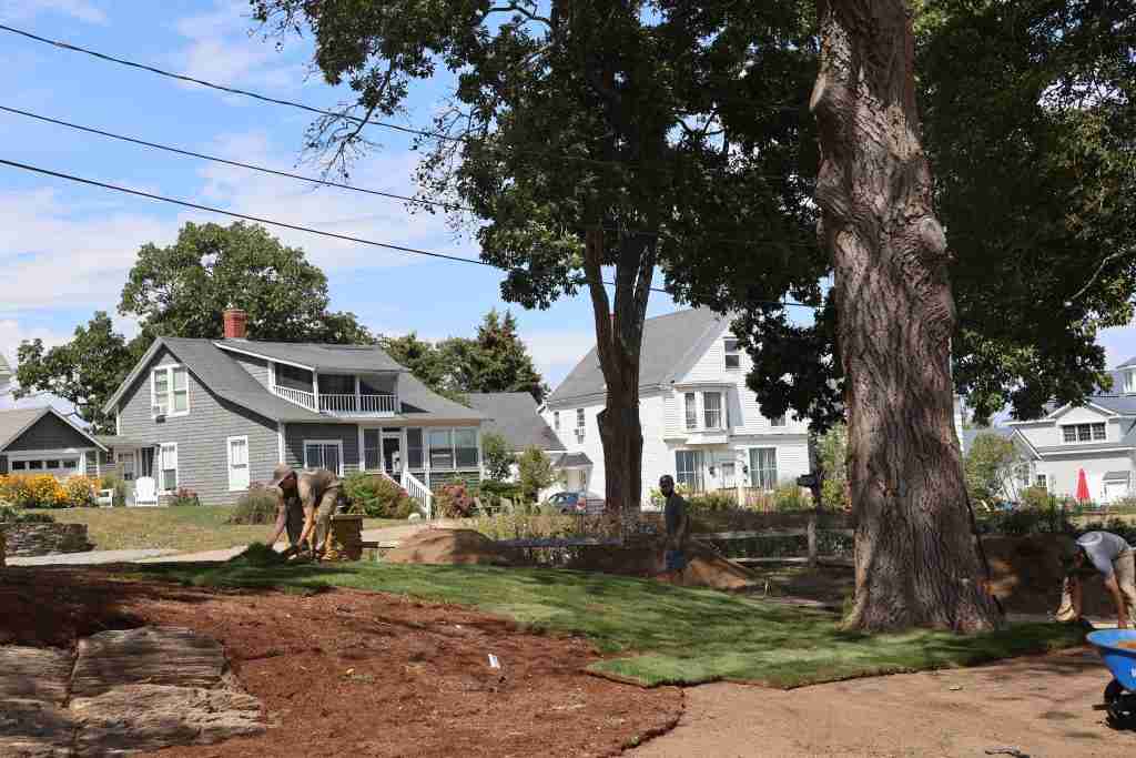 low maintenance landscape design Maine