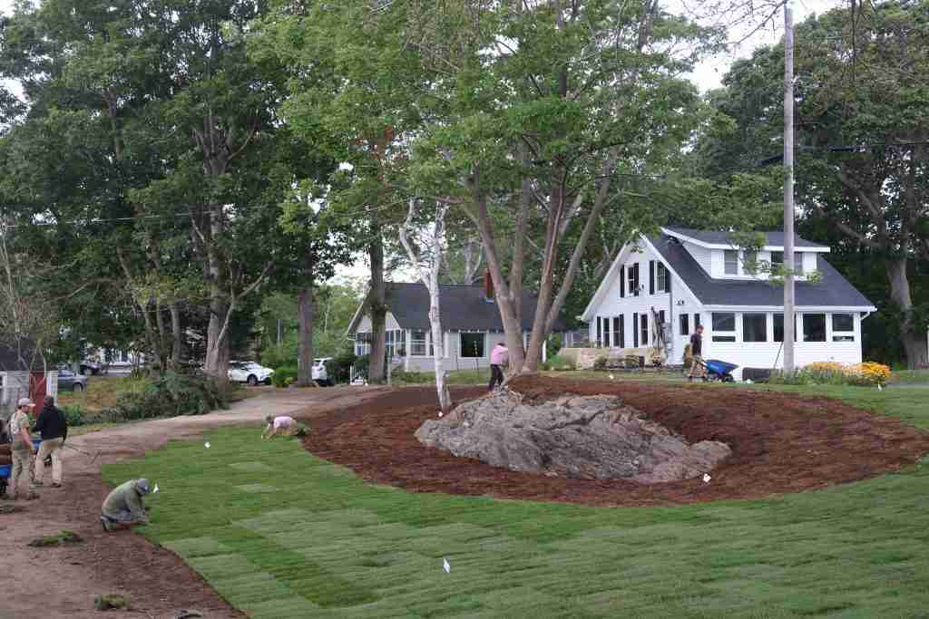 residential sod installation Maine